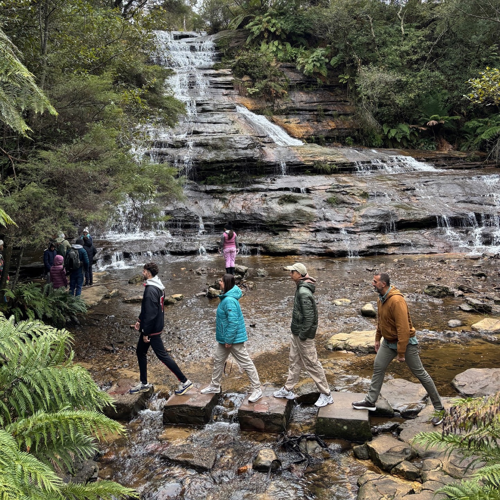 Blue Mountains con la comunidad