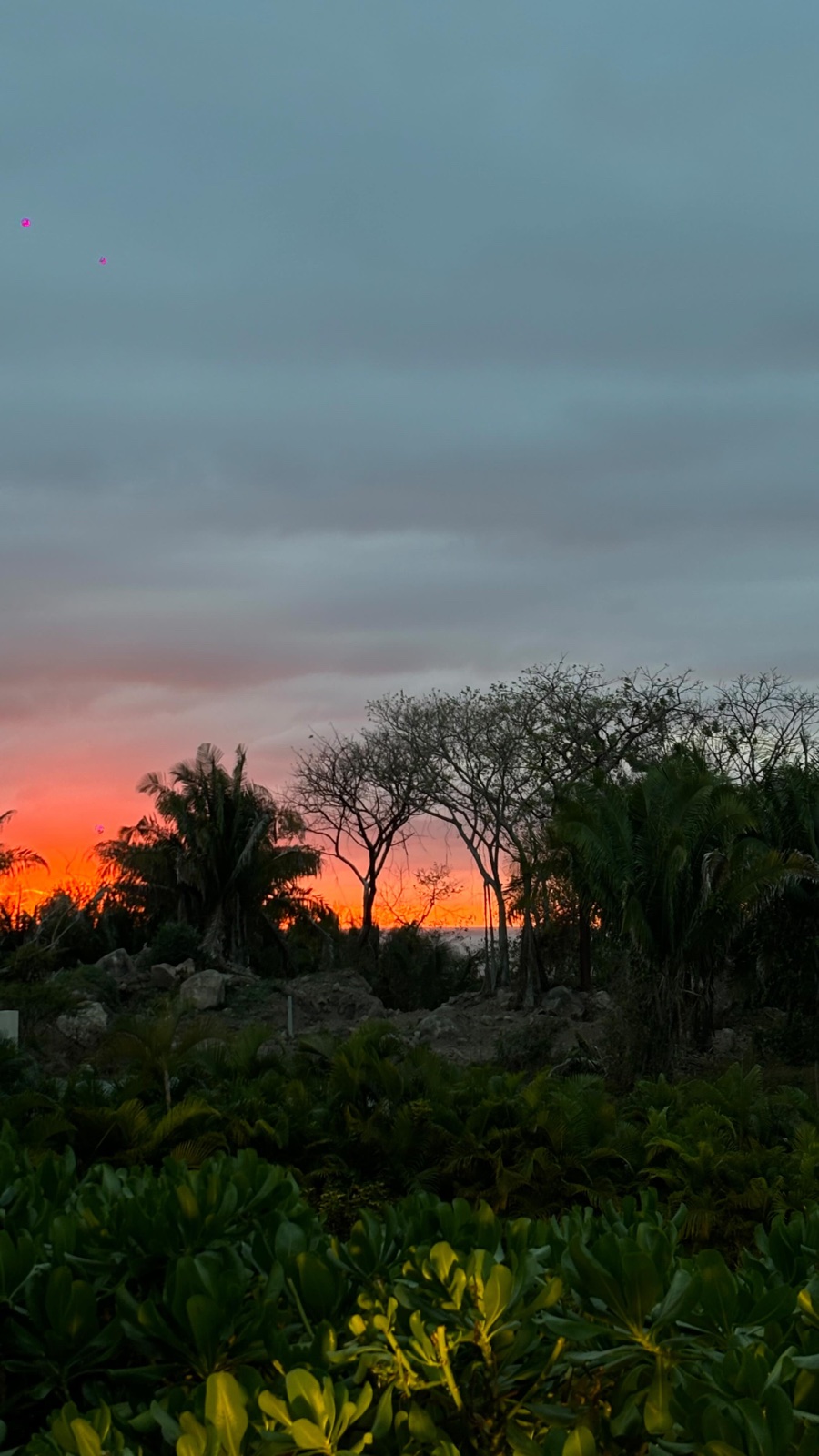 El atardecer que apuntó en su cuaderno
